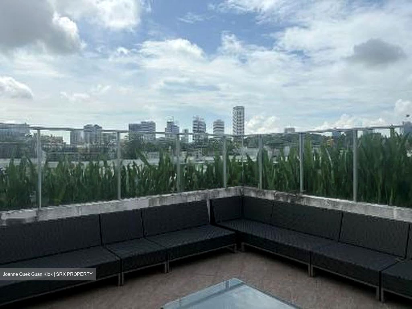 Belle Vue Residences (D9), Condominium #569572411